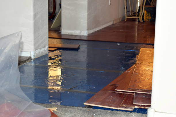 Professional Basement Water Removal technician working in North Hills, CA